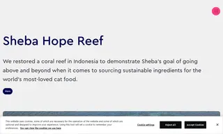 Preview of the Sheba Case Study