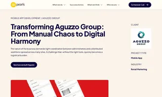 Preview of the Aguzzo Group Case Study