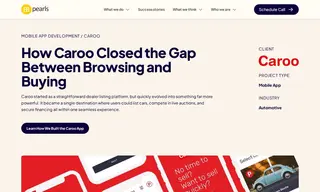 Preview of the Caroo Case Study