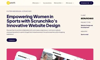 Preview of the Scrunchiko Case Study