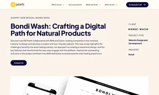 Preview of the Bondi Wash Case Study