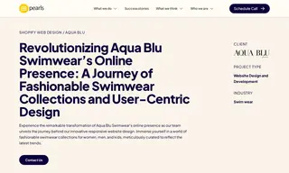 Preview of the Aqua Blu Swimwear Case Study