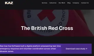 Preview of the The British Red Cross Case Study