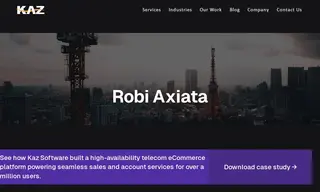 Preview of the Robi Axiata Case Study