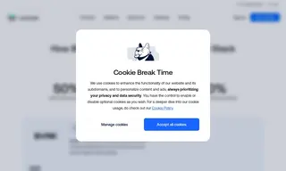 Preview of the BVNK Case Study