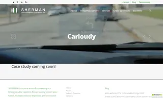 Preview of the Carloudy Case Study