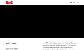 Preview of the Antoshka Case Study