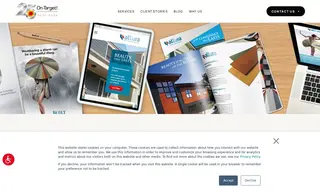 Preview of the Allura Case Study