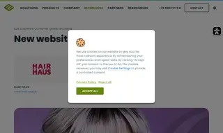 Preview of the HAIR HAUS GmbH Case Study