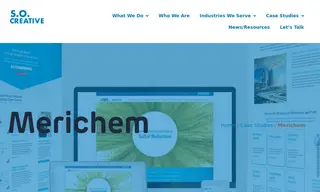 Preview of the Merichem Case Study
