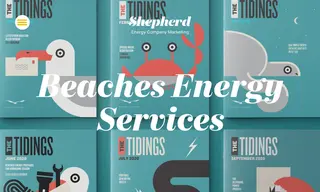 Preview of the Beaches Energy Services Case Study