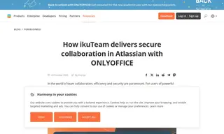 Preview of the ikuTeam Case Study