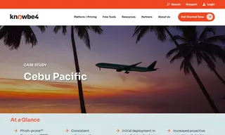 Preview of the Cebu Pacific Case Study