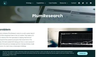 Preview of the PlumResearch Case Study