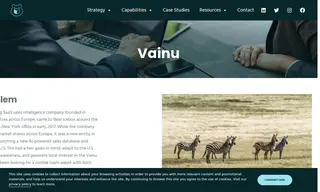 Preview of the Vainu Case Study