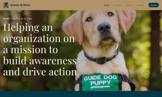 Preview of the Guide Dogs for the Blind Association Case Study