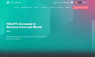 Preview of the Premium Luggage Brand Case Study