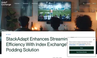 Preview of the StackAdapt Case Study