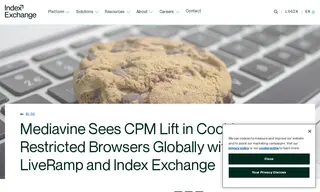 Preview of the Mediavine Case Study
