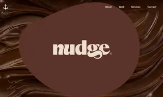 Preview of the Nudge Case Study
