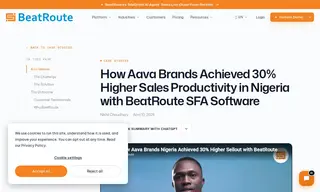 Preview of the AAVA Brands Case Study