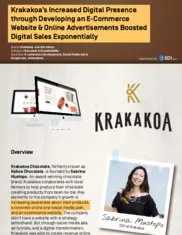 Preview of the Krakakoa Case Study