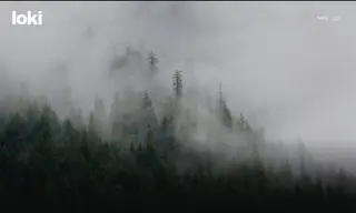 Preview of the Tourism Prince Rupert Case Study