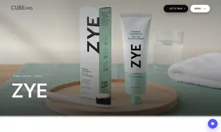 Preview of the ZYE Case Study