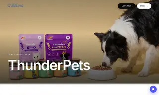 Preview of the ThunderPets Case Study