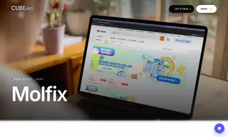 Preview of the Molfix Malaysia Case Study