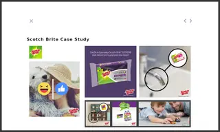 Preview of the Scotch-Brite Case Study