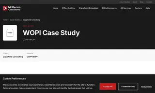Preview of the CappKind Consulting Case Study