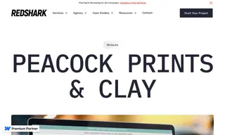 Preview of the Peacock Prints & Clay Case Study