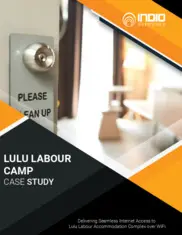 Preview of the LuLu Group International Case Study