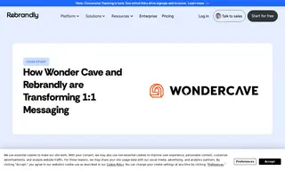 Preview of the Wonder Cave Case Study