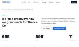 Preview of the The Ice Co Case Study