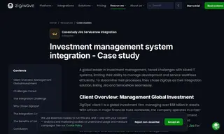 Preview of the Management Global Investment Case Study