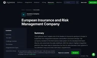 Preview of the European Insurance and Risk Management Company Case Study