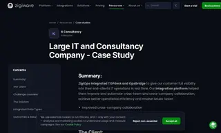 Preview of the Large IT and Consultancy Company Case Study