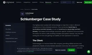 Preview of the Schlumberger Case Study