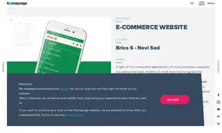 Preview of the Brico-S (Brico S) Retail Chain Case Study