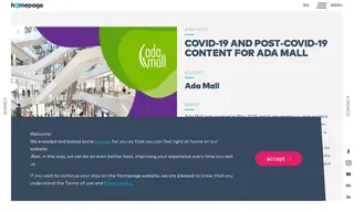 Preview of the Ada Mall Case Study