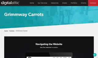 Preview of the Grimmway Carrots Case Study