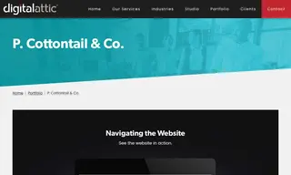Preview of the P. Cottontail & Co Case Study