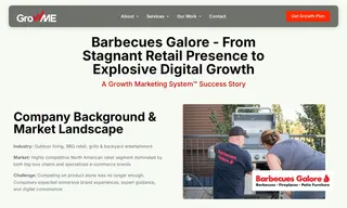 Preview of the Barbecue Galore Case Study