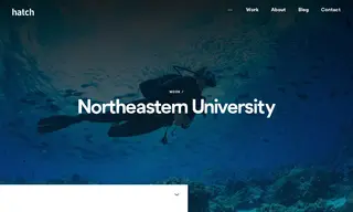 Preview of the Northeastern University Case Study