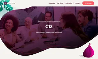 Preview of the C12 Case Study