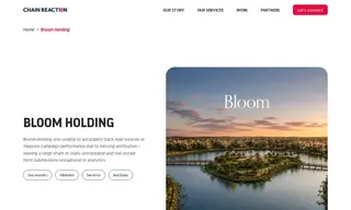 Preview of the Bloom Holding Case Study