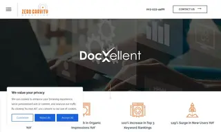 Preview of the DocXellent Case Study