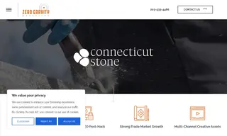 Preview of the CT Stone Case Study